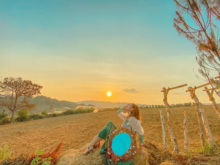 đồi vô ảnh Đà Lạt có gì