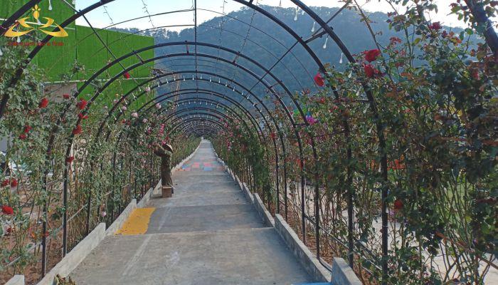 vườn thượng uyển bay Đà Lạt có gì