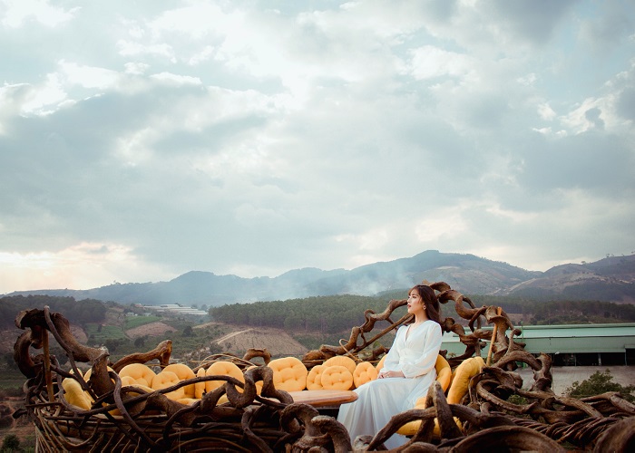 quán coffee Thúy Thuận Đà Lạt