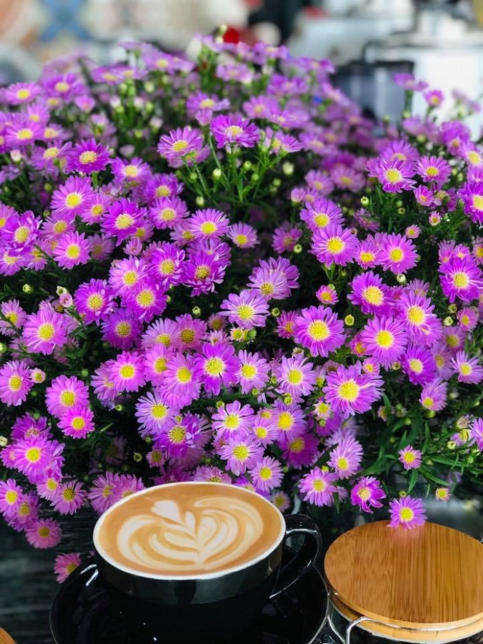 Thúy Thuận coffee