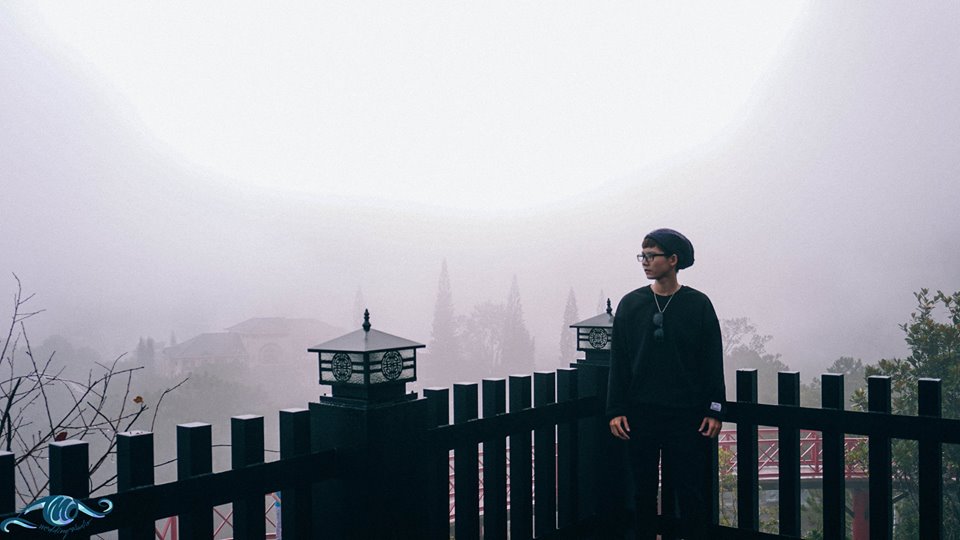 Đường đi cà phê Đà Lạt view