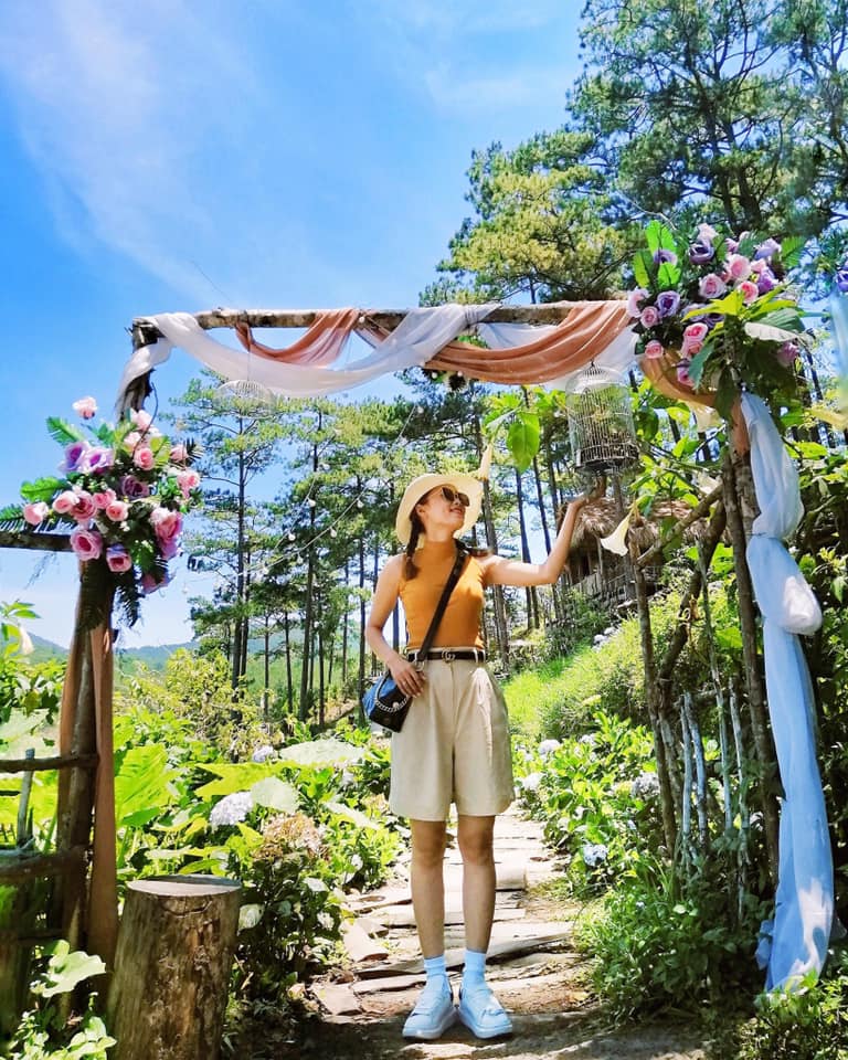 Có nên đi Happy Hill không