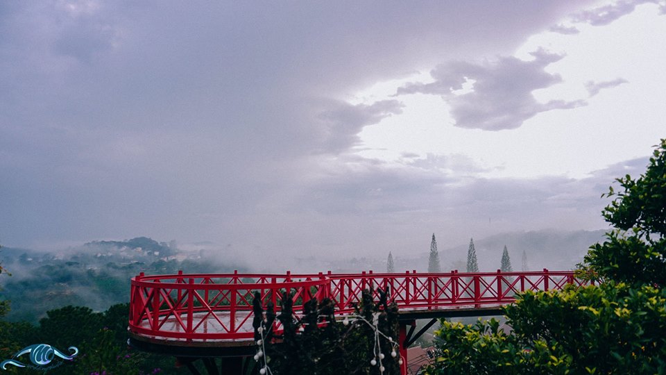 hướng dẫn đường đi cafe Đà Lạt view