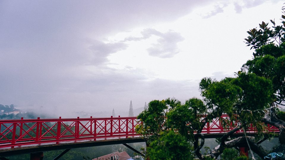 quán cà phê Đà Lạt view