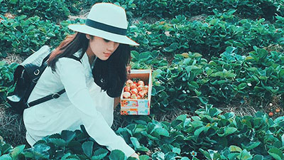 tham quan Đà Lạt 1 ngày