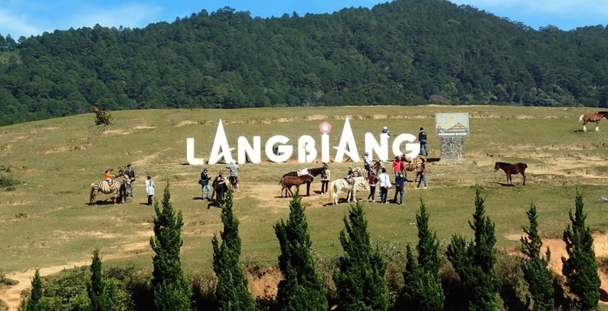 tour Đà Lạt 1 ngày Langbiang
