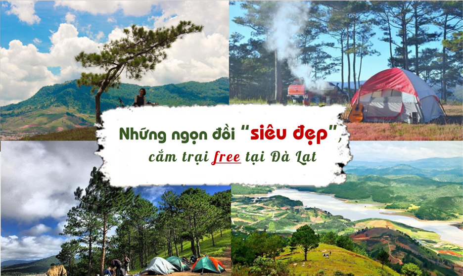 địa điểm cắm trại ở Đà Lạt