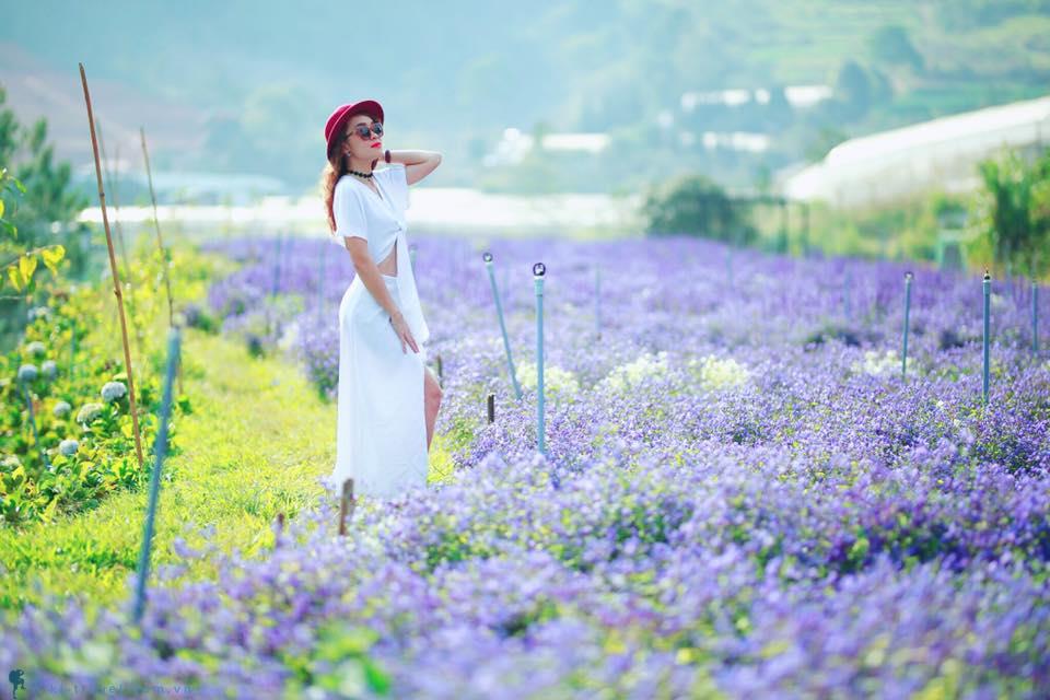 Du lịch Đà lạt tự túc