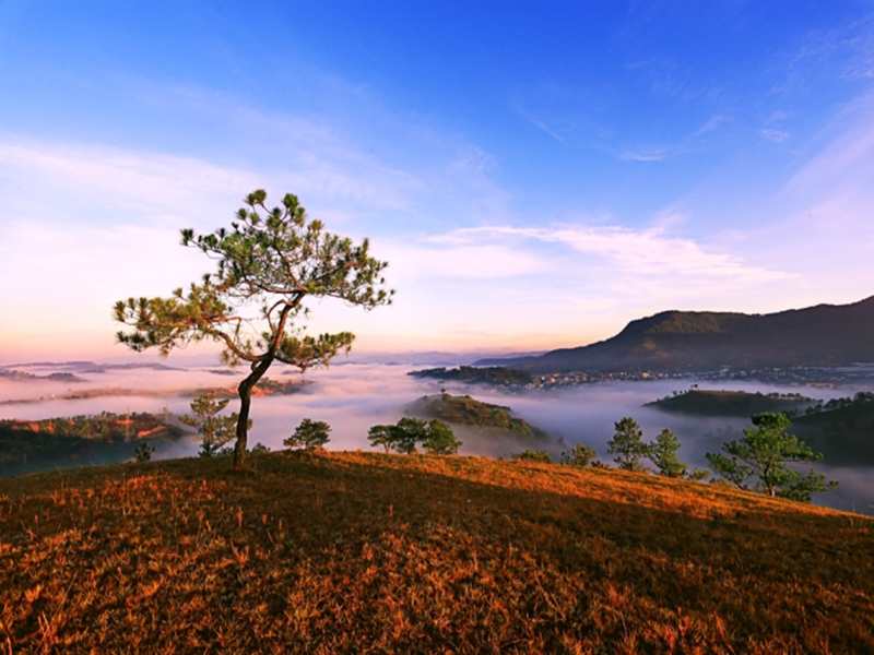 kinh nghiệm cắm trại đồi Đa Phú