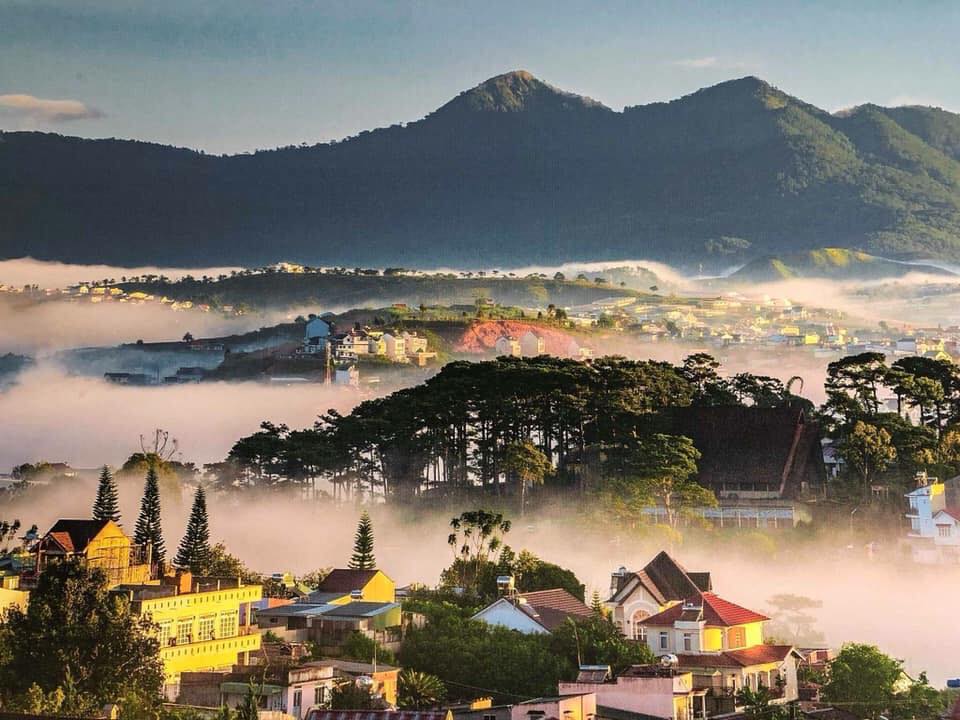 tour Đà lạt 1 ngày 1 đêm giá rẻ