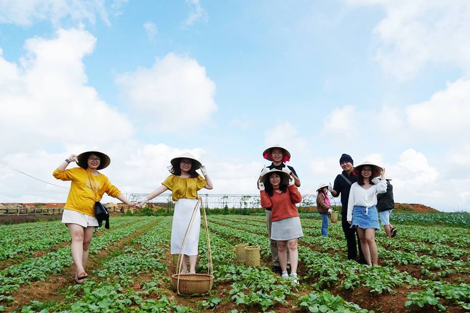 tour nhà vườn Đà Lạt