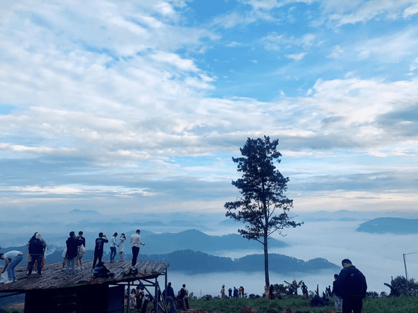 săn mây Đà Lạt mấy giờ đẹp nhất
