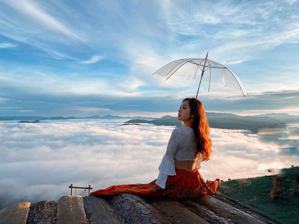 Đặt tour săn mây Đà Lạt