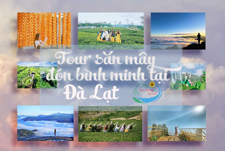 tour săn mây Đà Lạt
