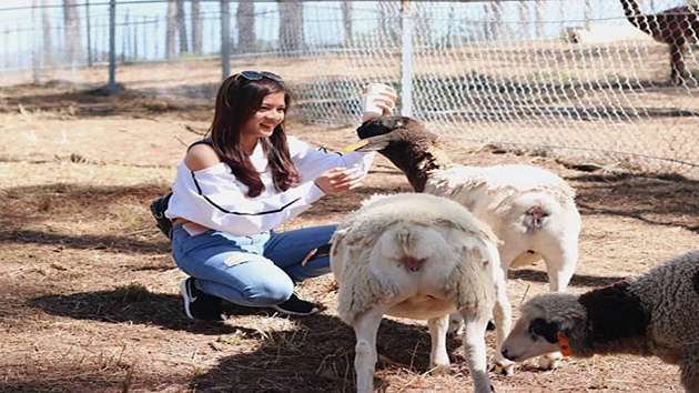 tour sở thú zoodoo Đà Lạt