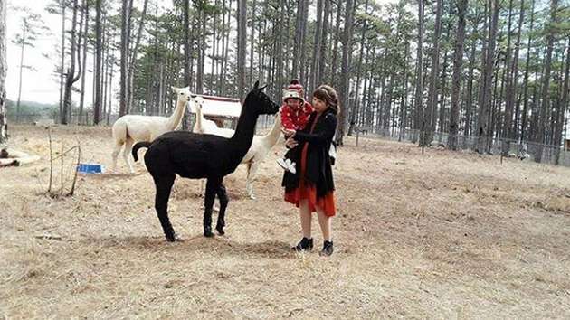 tour tham quan sở thú zoodoo Đà Lạt